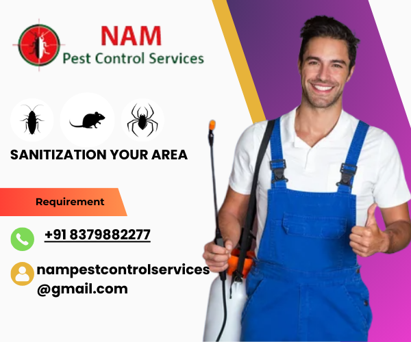 Termite Pest Control sanitizing